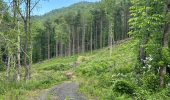 Pumpkin Patch Road, Bakersville, NC 28705