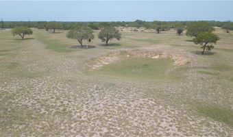227 S Hollow Tree, Alice, TX 78332