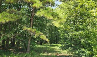2262 SMOKEY Rd, Alabaster, AL 35007