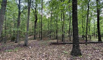 COLVIN SPRINGS ROAD 6, Ashville, AL 35953