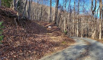 109 29 Ac Cone Orchard Ln, Blowing Rock, NC 28605