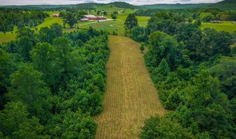 15 Acres Willow Grove Hwy, Allons, TN 38541