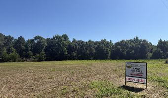 006 H Wallace Buie Rd, Ashford, AL 36376