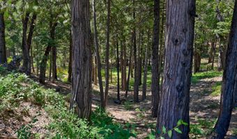 2690 Cheyenne Way, Arnold, CA 95223