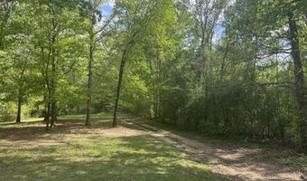 134 Seldom Seen Cv, Braxton, MS 39044