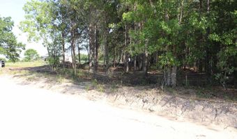 2631 Charlie Johnson Rd, Bethune, SC 29009