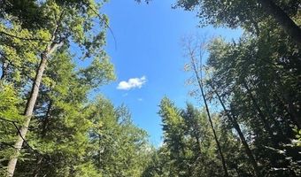 360 Ives Hill Rd, Afton, NY 13730