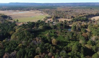 9 LOOP Rd Lot 9, Ashville, AL 35953