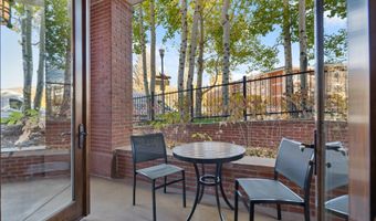 415 E Dean St. Unit 3 Week 11, Aspen, CO 81611