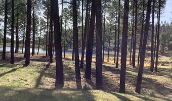 212 Lake Shore Dr 1, Alto, NM 88312