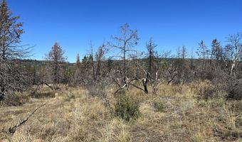 0 Wren Dr Lot 5, Bonanza, OR 97623