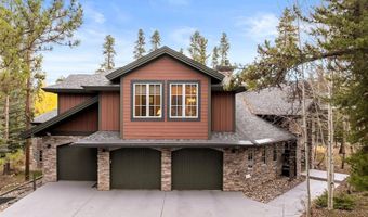 127 MARKS Ln, Breckenridge, CO 80424