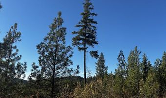 Old CC Rd, Addy, WA 99101