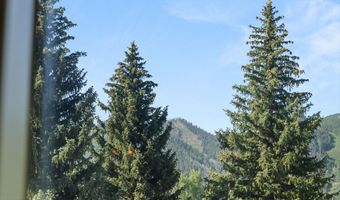 1221 Vine St 1221, Aspen, CO 81611