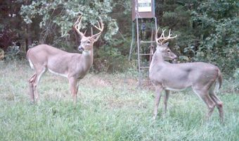 1426 CR 921, Alpena, AR 72611
