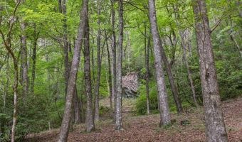 240 Upper Ridge Rd, Glenville, NC 28736