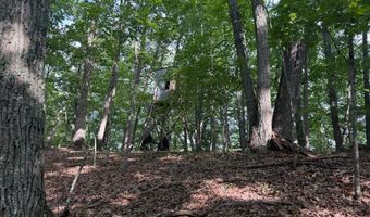 572 Dameron Rd, Ballard, WV 24918
