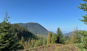Tract 6 USFS 2294, Clark Fork, ID 83811