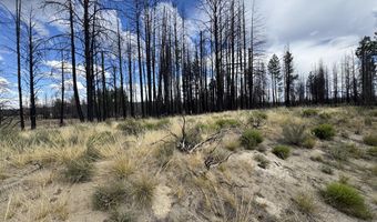 0 Shasta Fir Ln 9, Beatty, OR 97621