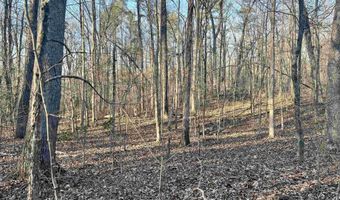 0009 SPRINGHOLLOW Rd Lot 9, Ashville, AL 35953