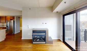 111 N Ashley St 901, Ann Arbor, MI 48104