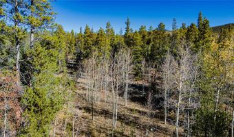 235 Willow Ln Lot 4, Alma, CO 80440