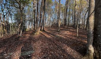 130 Lakeview Walk, Baldwin, GA 30511