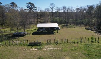 955 S County Road 33, Ashford, AL 36312