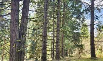 BOLTON HILL RD, Veneta, OR 97487