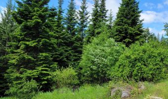 NNA Snowcat Lane, Bonners Ferry, ID 83805