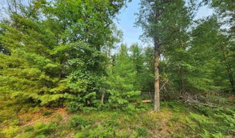 Lot 98 Wilderness, Alger, MI 48610