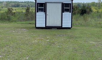 72 Cheyenne, Ambrose, GA 31512