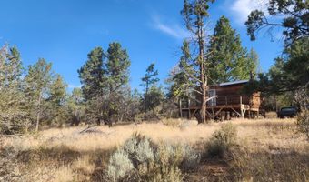 Chicken Hawk Lane Lot 28, Bonanza, OR 97623