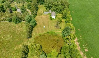 7295 N Gibbs Rd, Albion, MI 49224