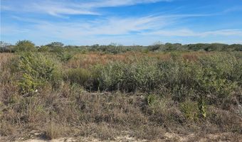 20 County Road 1431 Lot 20, Alice, TX 78384