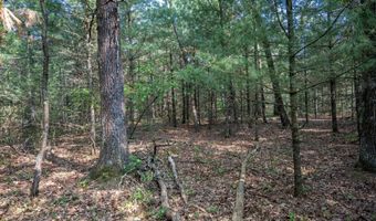 Lot 35 19th Court, Arkdale, WI 54613
