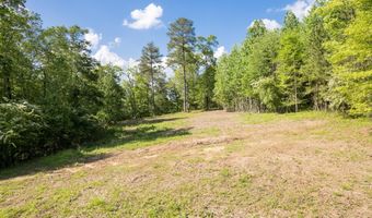 LOT 32 ROCK CREEK PENINSULA, Arley, AL 35541