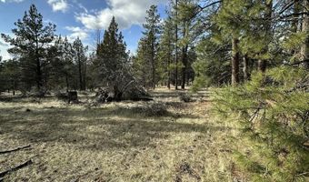 Widgeon Drive lot 3, Bonanza, OR 97623