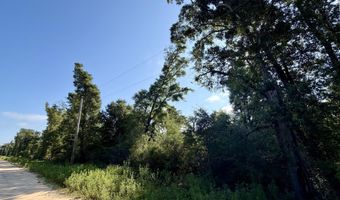 Sorrento Avenue lot 20-22, Alford, FL 32420