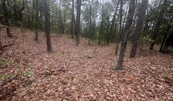 UNIT # 263B KIAMICHI WILDERNESS RD Unit # 63 63, Antlers, OK 74523