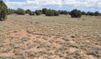 19 C & D County Rd N9033, Concho, AZ 85924