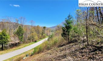 31 32 Running Bear Cir, Banner Elk, NC 28604