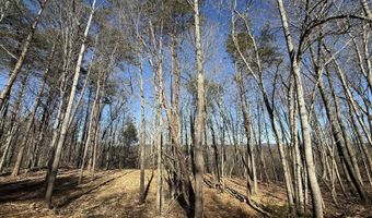 N Taxiway Dr lot # 12, Albany, KY 42602