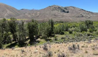 E Fork Road, Clayton, ID 83227