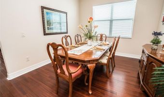 562 BIMINI BAY Blvd, Apollo Beach, FL 33572