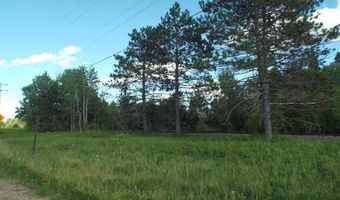 80 Acre HWY 32, Argonne, WI 54511
