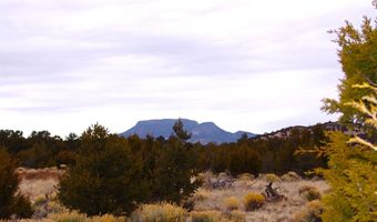 127 Wilderness Ln, Datil, NM 87821