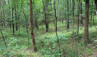 Low Water LN SW, Brookhaven, MS 39601