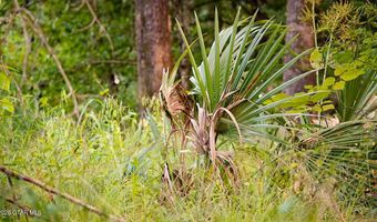 Cypress Pointe Drive lot 10, Brooksville, MS 39739