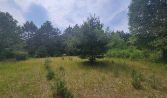 Lot 114 County Road Z, Arkdale, WI 54613